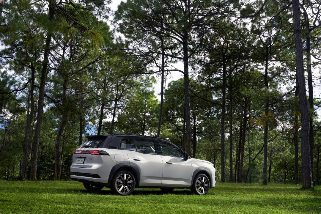 1763301031546185.jpg DSC09239 拷贝 3.jpg