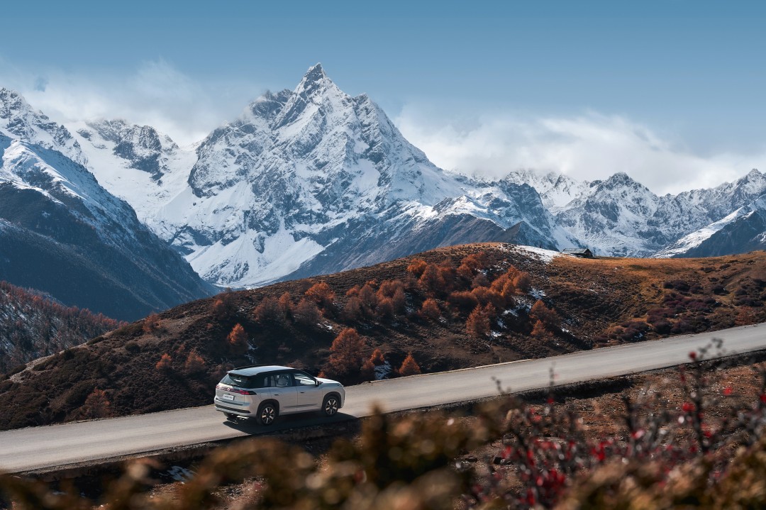 1763301077792588.jpg DDY00329 拷贝.jpg