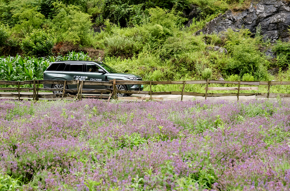 1772607615160127.png image.png