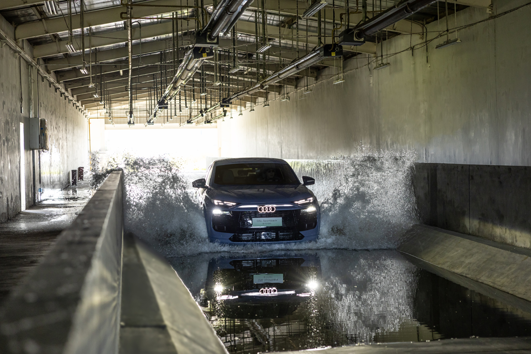 1775832325455575.jpg 9.jpg