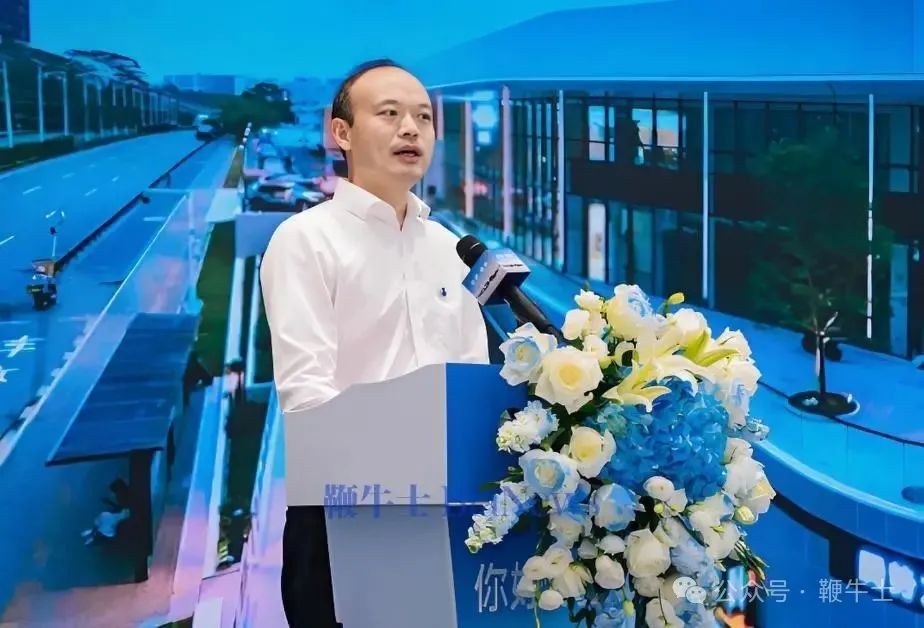 比亚迪李慧.png